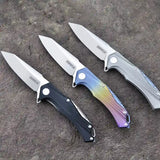 5" D2 Blade And Frame Lock Folding Knife With Nylon Sheath